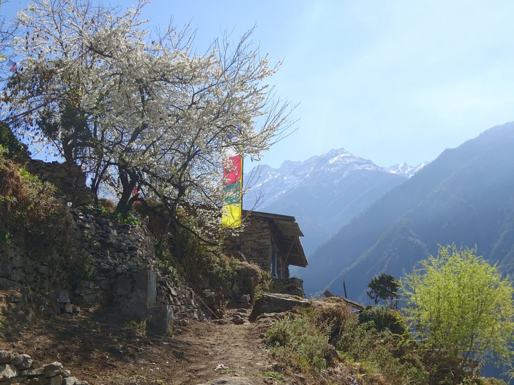 idyllisch gelegene Orte auf dem neuen Höhenpfad zwischen Khangjim und Lama Hotel 