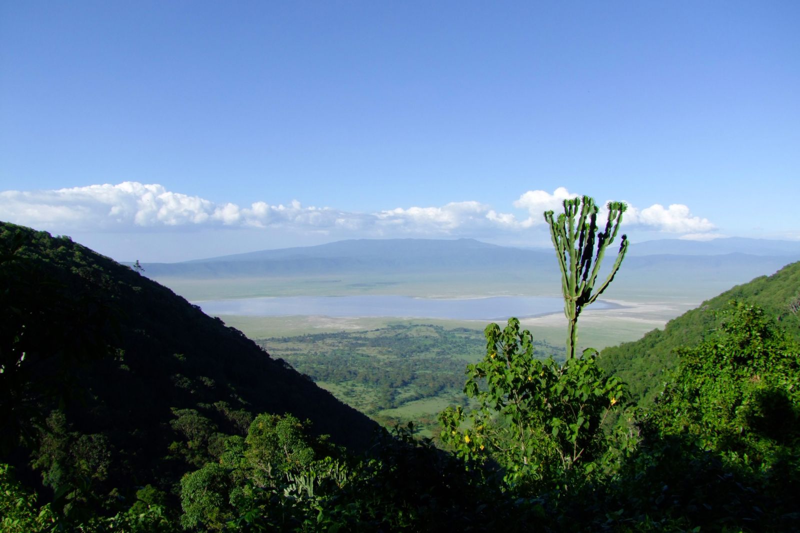 TANKOF2_060216_4FMU_Blick_in_den_Ngorongoro_Krater.jpg