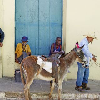 Typisch kubanisches Straßenbild: ein hübsch geschmückter Esel und sein Halter