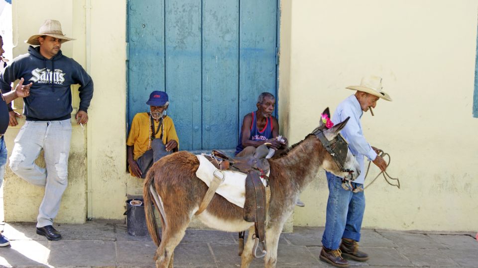 Typisch kubanisches Straßenbild: ein hübsch geschmückter Esel und sein Halter