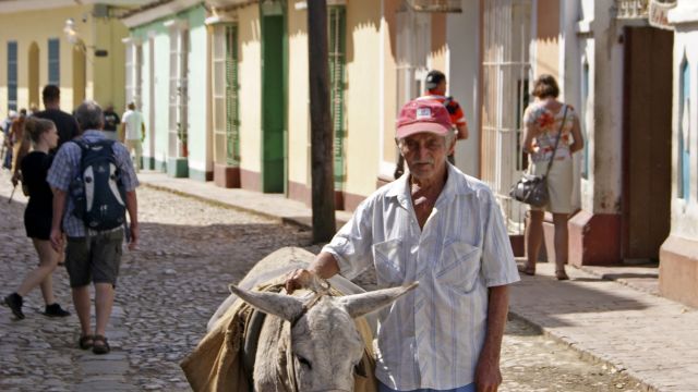 Modell stehen in Trinidad: älterer Herr und sein Esel