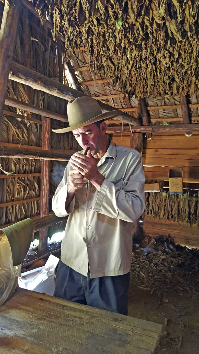 Typischer Tabakbauer im Viñales-Tal