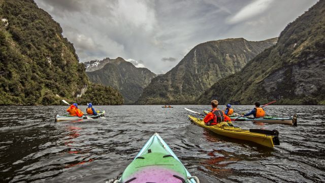Kayakfahren im Doubtful Sound