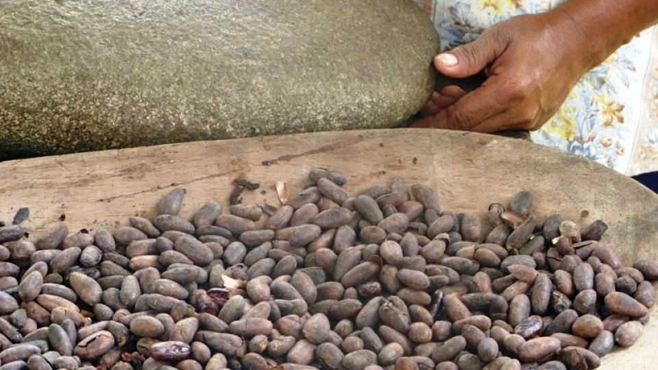 Kakao in Costa Rica