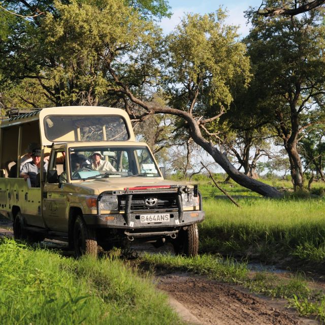 Pirschfahrt in Botswana