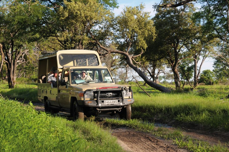 Pirschfahrt in Botswana