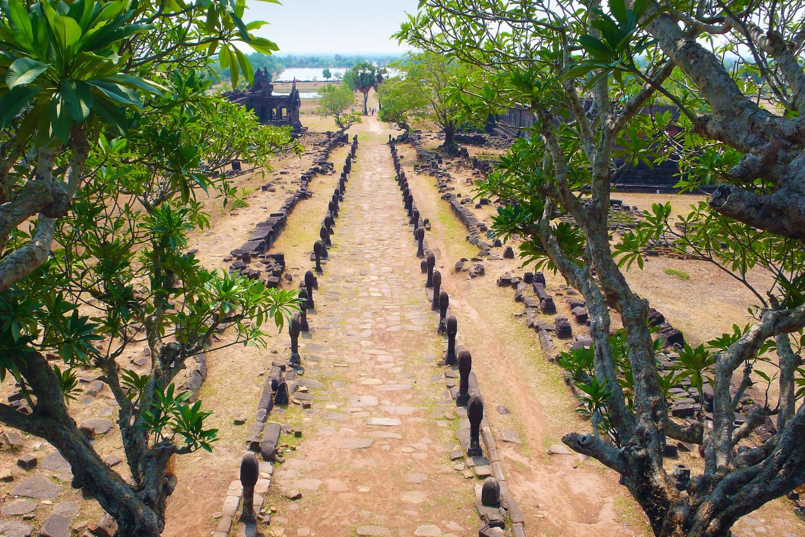 Frangipanibäume neigen sich über die Galerie, die zum Tempel von Wat Phou führt