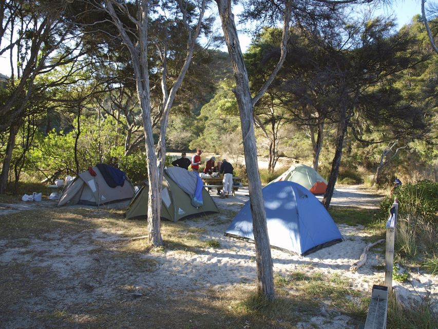 Zelten im Abel Tasman Park
