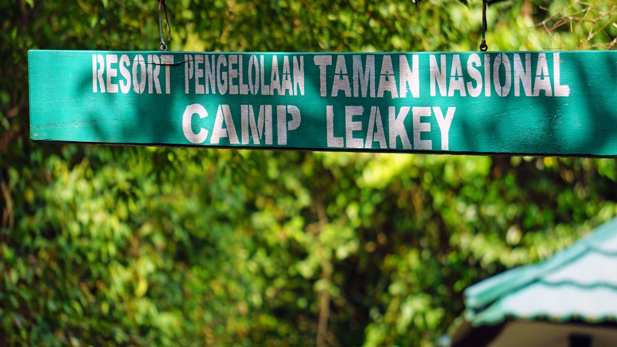 Camp Leakey im Tanjung Puting NP