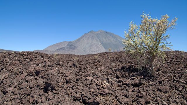 Wanderung Vulkan Tres Virgenes