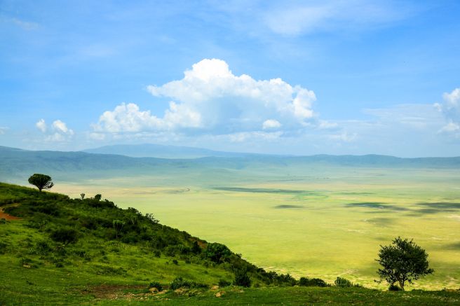 Blick auf das satte Grün des Ngorongoro-Kraters in der Regenzeit