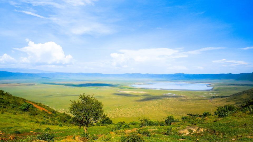Blick auf das satte Grün des Ngorongoro-Kraters in der Regenzeit