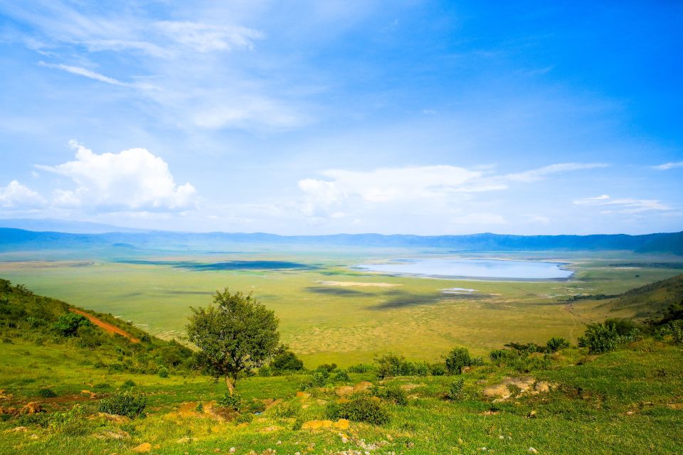 Blick auf das satte Grün des Ngorongoro Kraters in der Regenzeit
