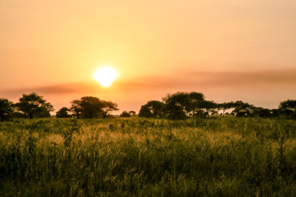 Ein afrikanischer Sonnenuntergang in der Savanne