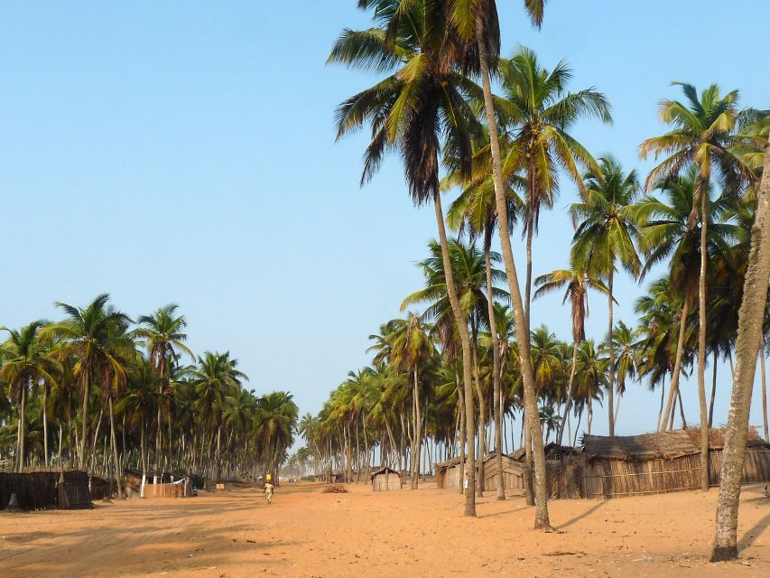 Ouidah, Strandstrasse, Palmen