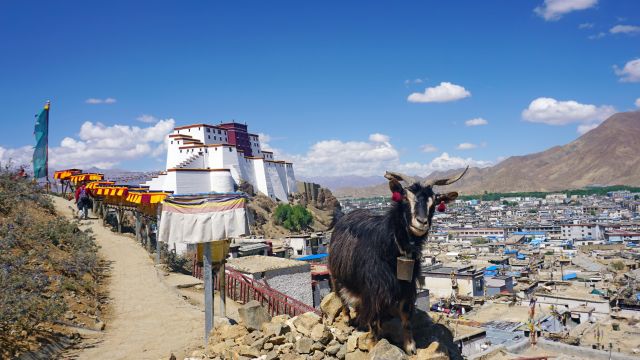 Blick auf Shigatse und seinen Dzong