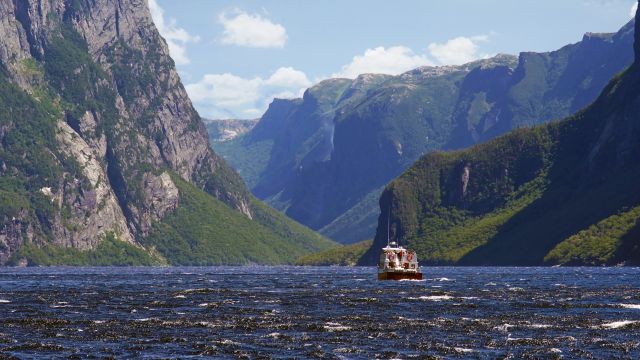 Majestätische Fjorde im Gros Morne NP