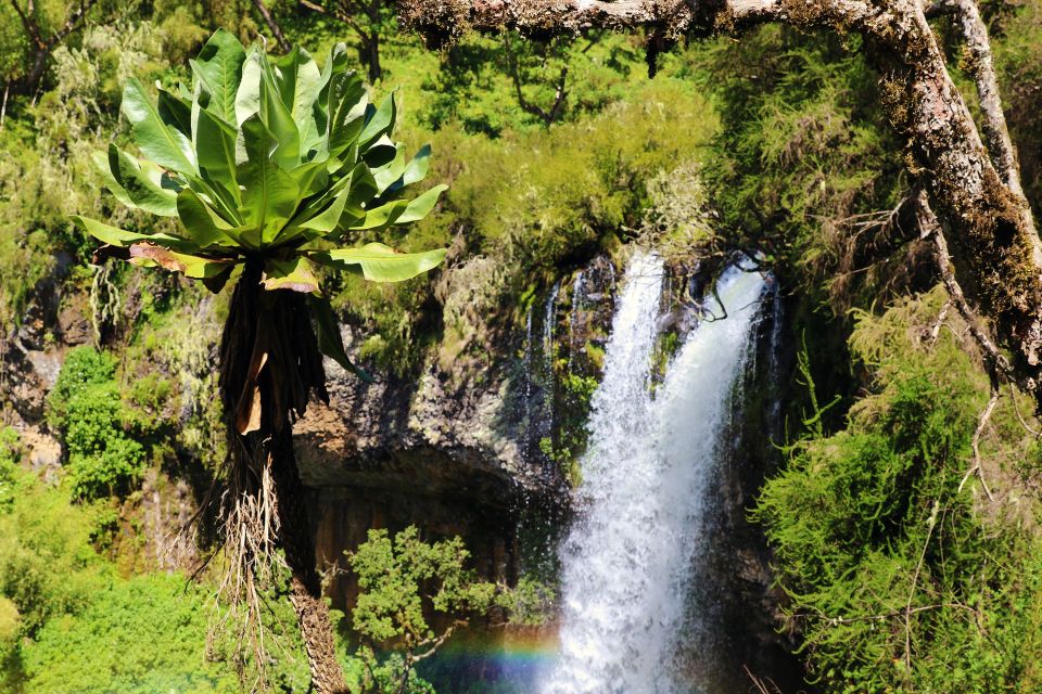 Wasserfall im Aberdare Nationalpark
