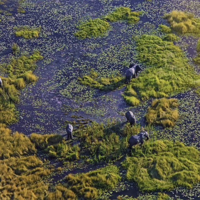 Okavango-Delta von oben