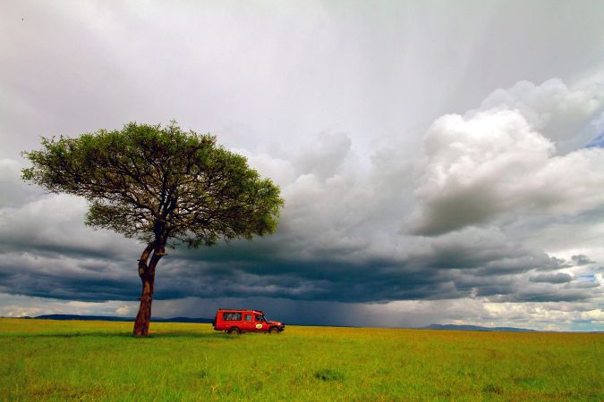 Safari durch die Masai Mara © Diamir