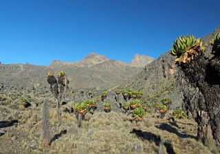 Trekking am Mount Kenya