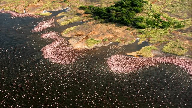 Luftaufnahmne auf dem Lake Bogoria