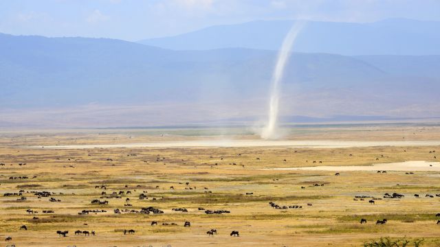 Eine Windhose zieht durch den Ngorongoro-Krater