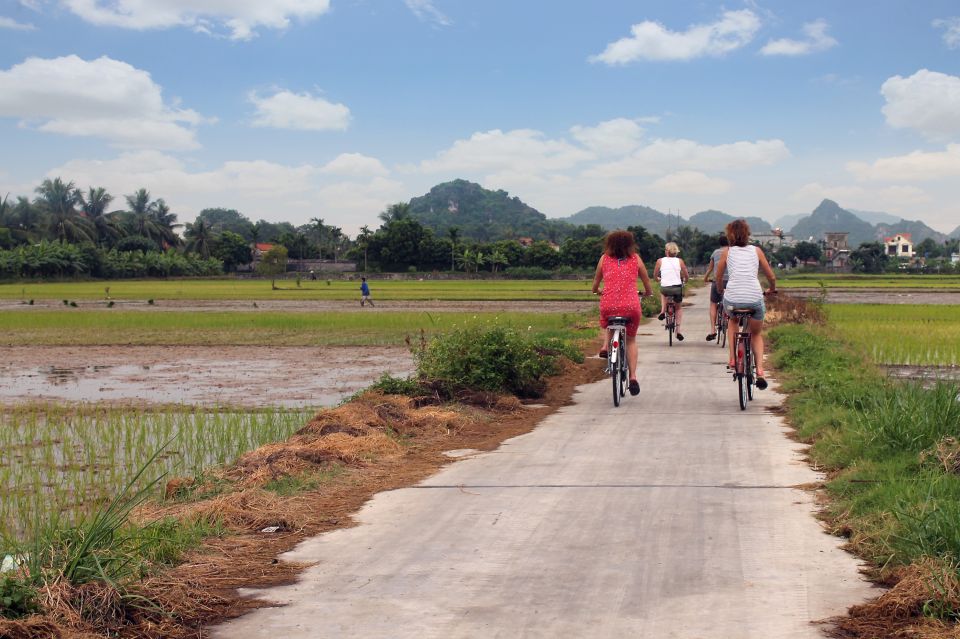 Fahrradtour entlang grüner Reisfelder