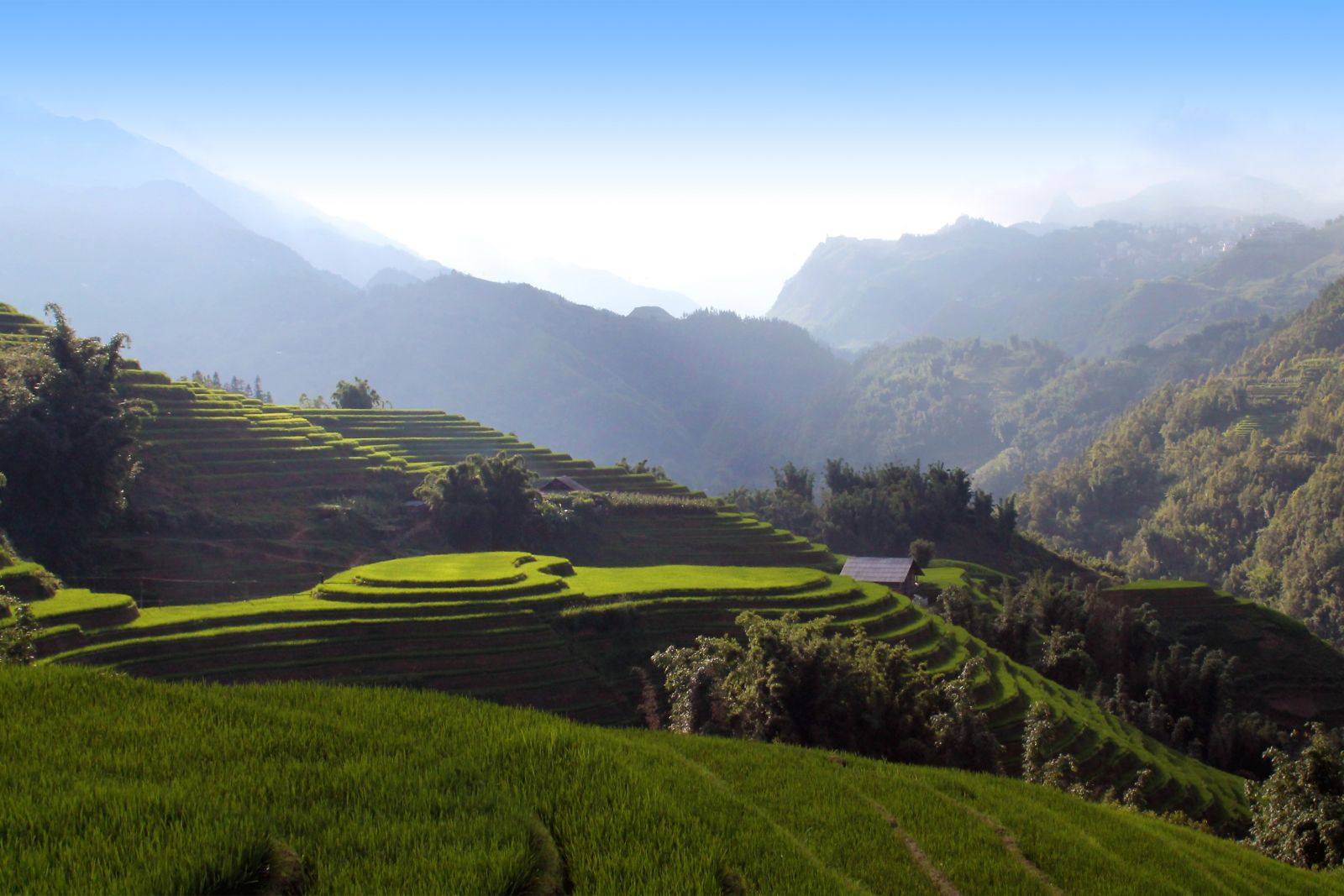 Mu Cang Chai – die schönsten Reisterrassen Vietnams