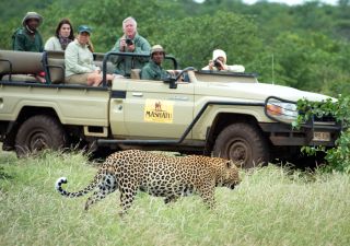 Begegnung mit Leopard bei Pirschfahrt