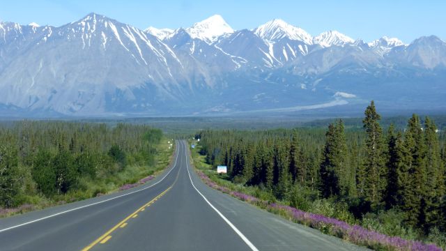 Auf dem Haines Highway im Yukon
