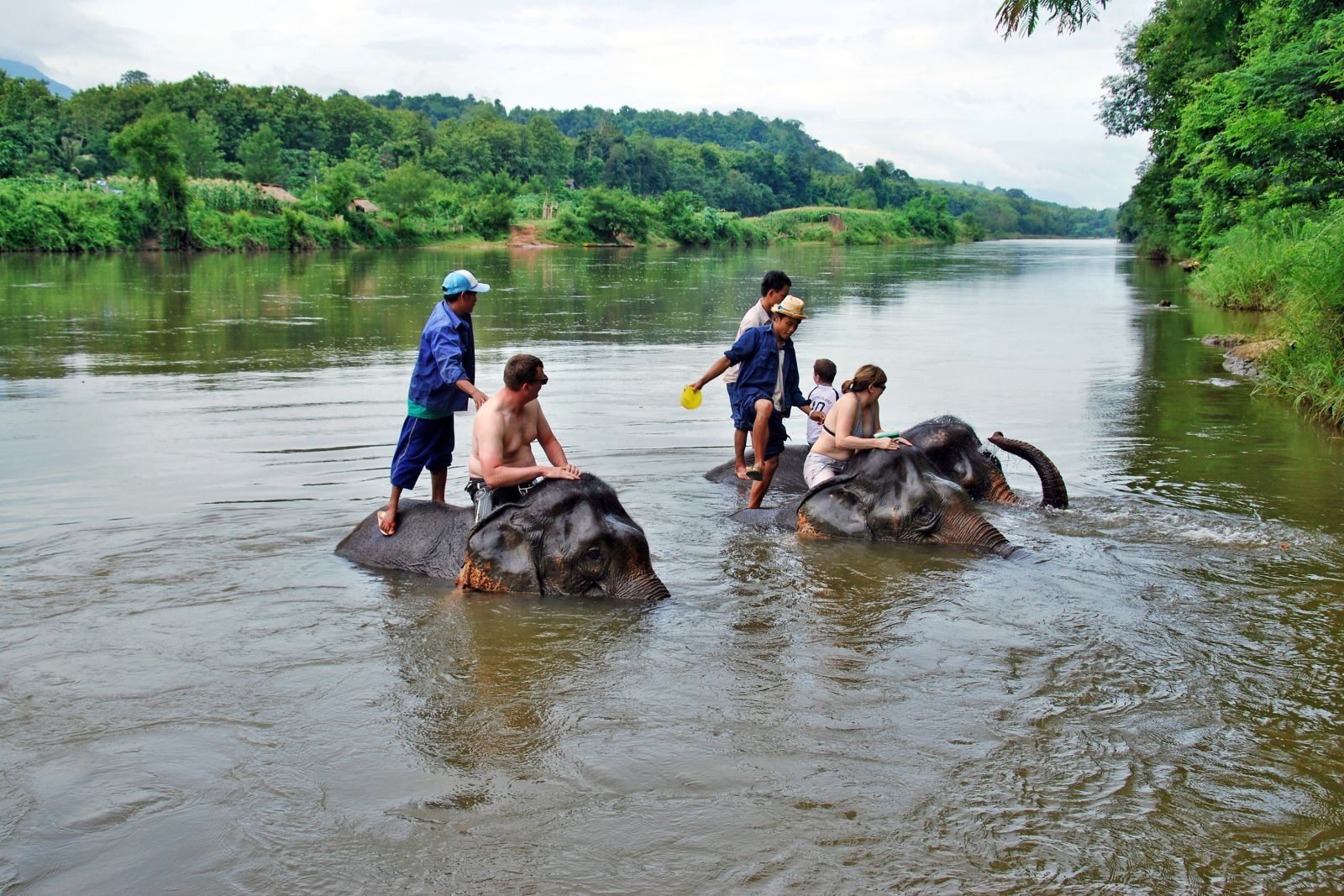 Mit Elefanten baden in Laos