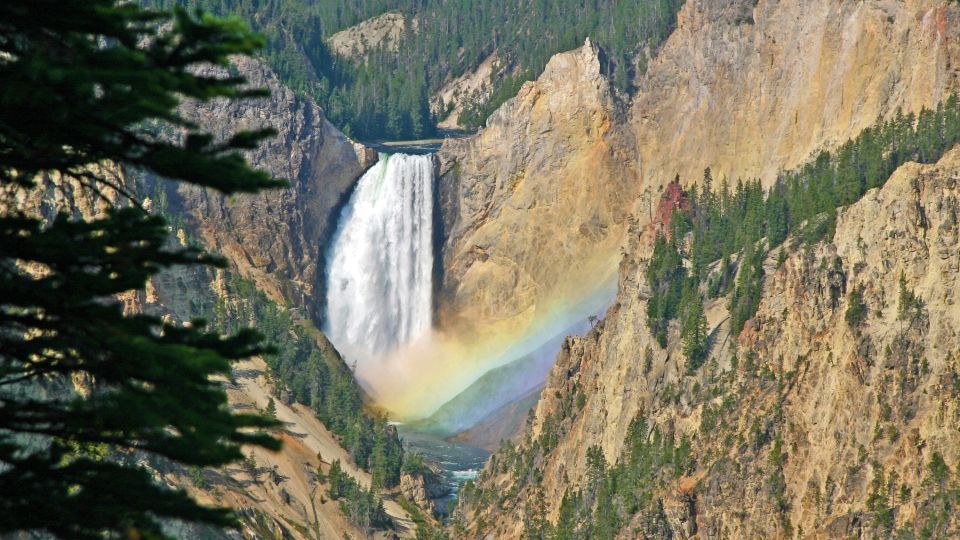 Lower Falls im Yellowstone National Park