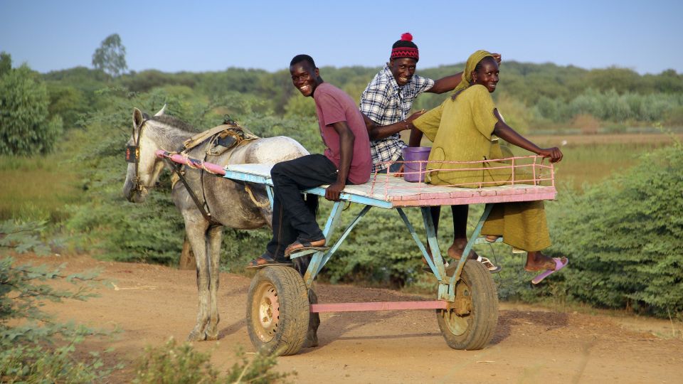 Der Eselkarren, das Transportmittel im Senegal.