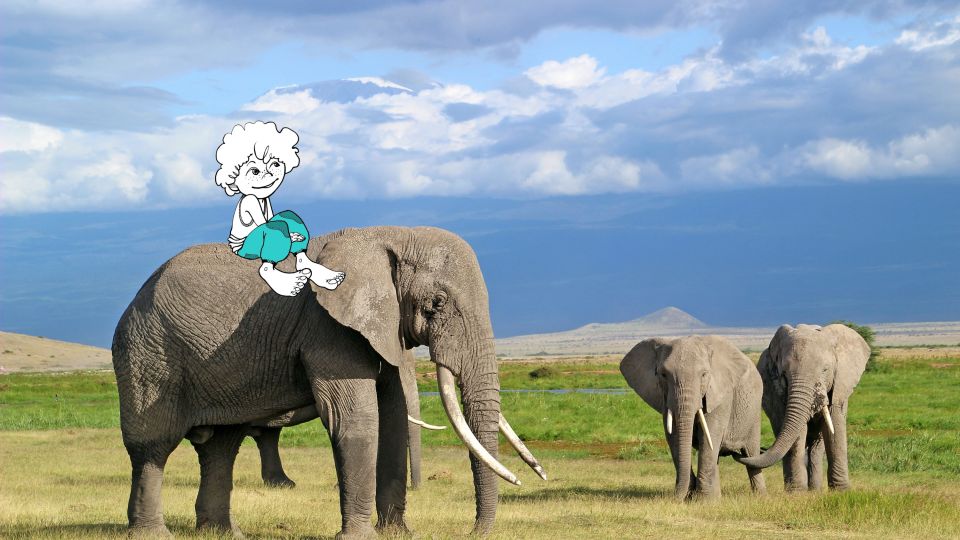 Postkartenmotiv mit Kilimanjaro im Hintergrund