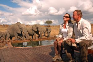 Entspannen mit Elefanten - jeder nimmt einen kühlen Schluck
