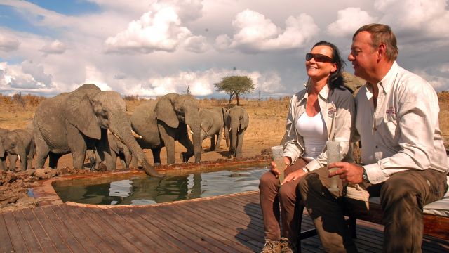 Entspannen mit Elefanten - jeder nimmt einen kühlen Schluck