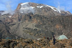 Unser Zeltplatz liegt unmittelbar am Fuß den Kilimanjaro, den wir am übernächsten Tag besteigen.