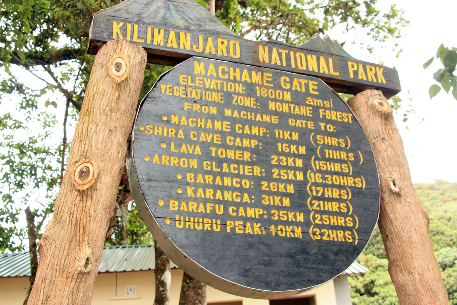 Wir wollen den Kilimanjaro über die Machame Route besteigen.