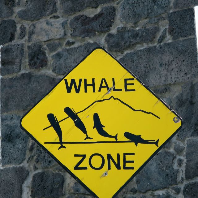 Wal-Warn-Schild