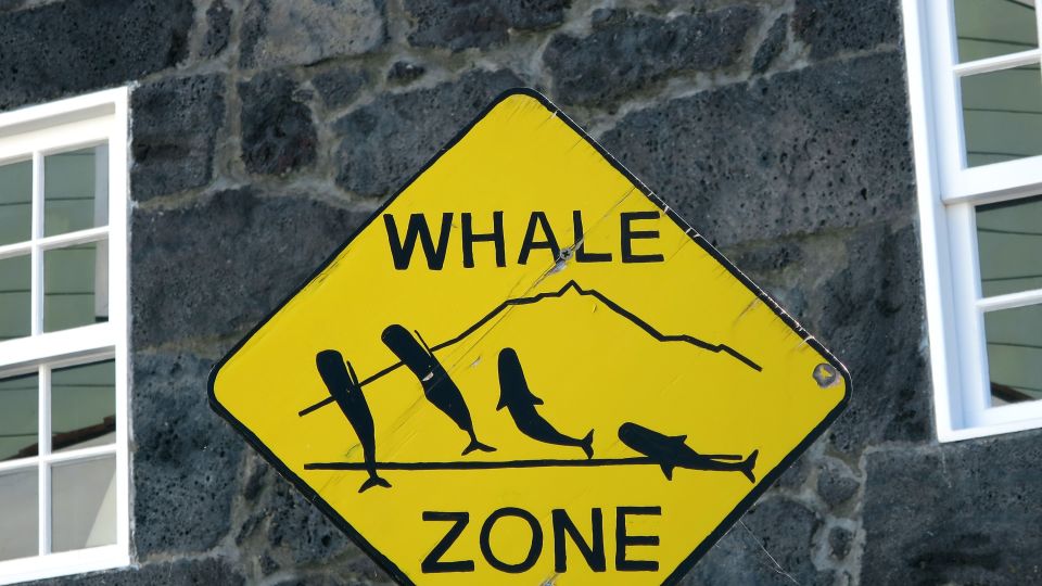 Wal-Warn-Schild