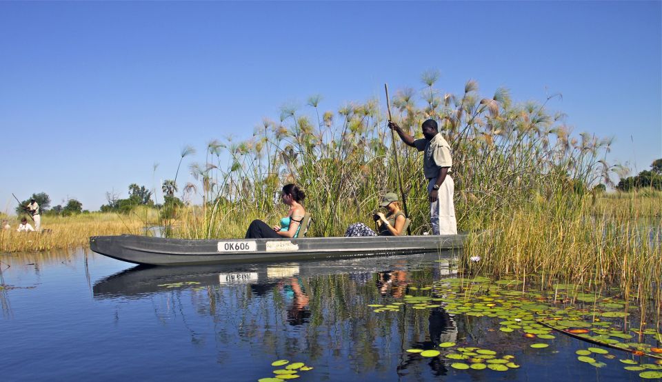 Im Mokoro durch das Okavango Delta