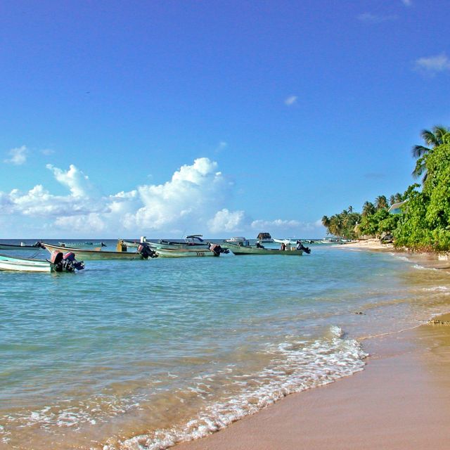 Traumhafte Karibikstrände – Regenwald trifft Strand