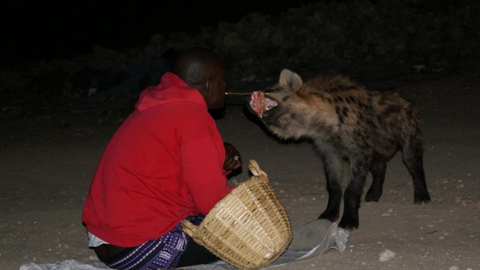 Hyänenfütterung bei Nacht