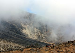 Abstieg in Barranco Camp (3960 m) vorbei an Riesenlobelien