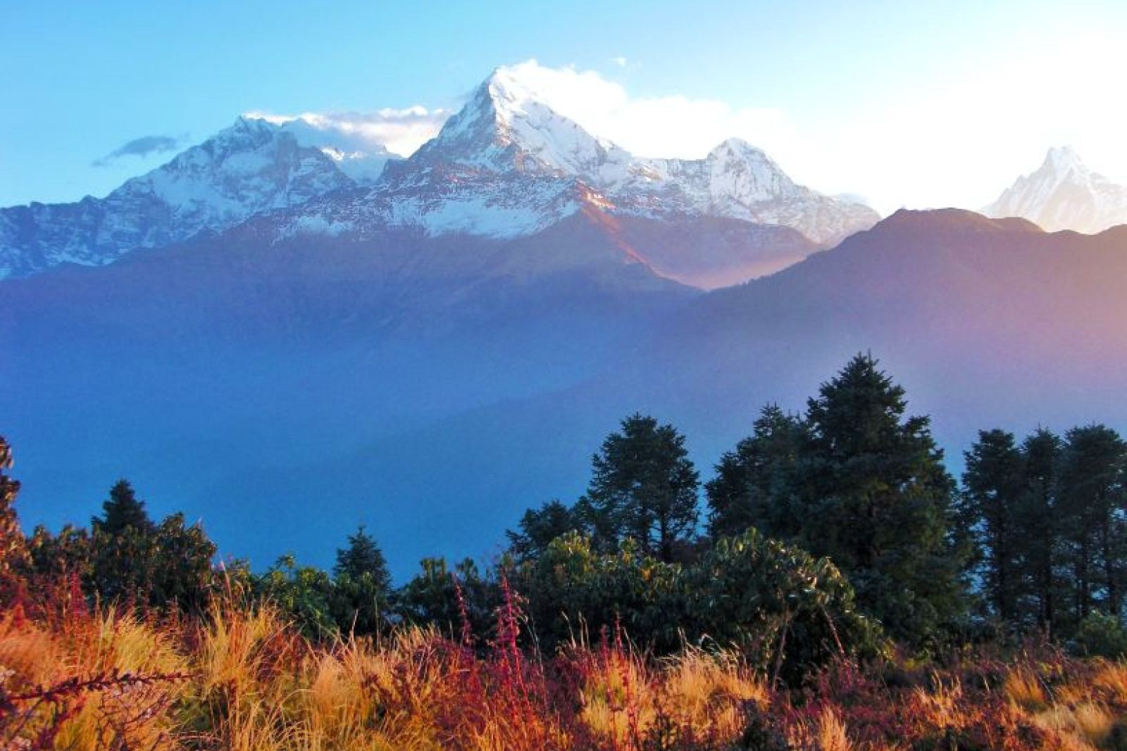 Aussicht auf Annapurna vom Poon Hill