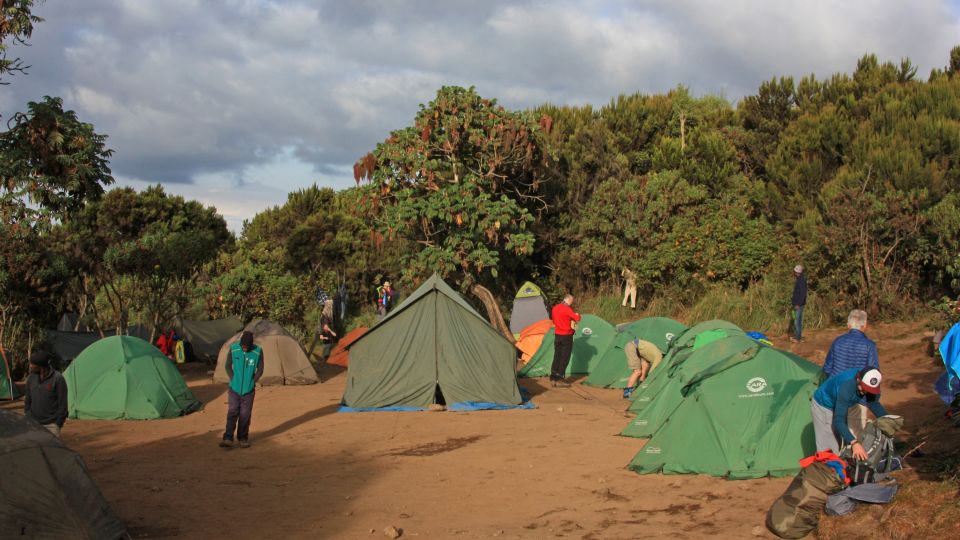 Unser erstes Camp auf 3010 m – Machame Camp