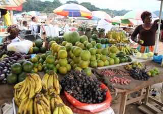 leckeres Obst auf dem Markt