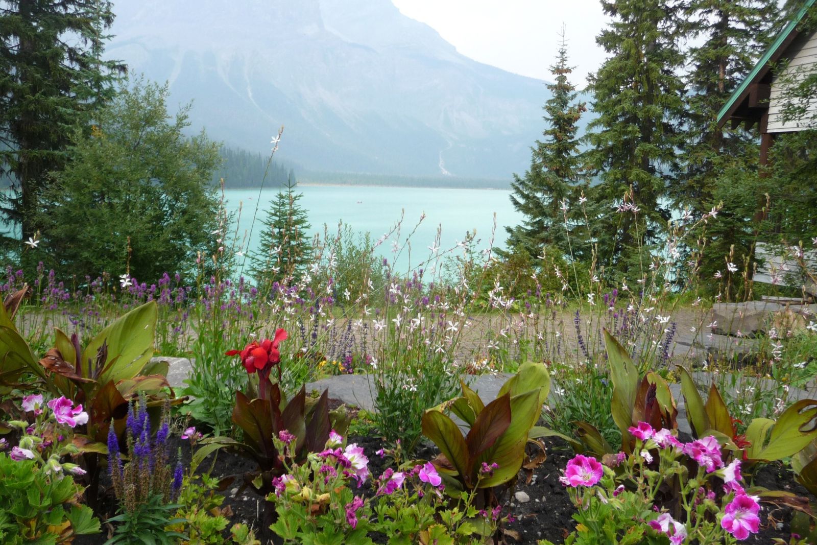 Blumenwunder am Emerald Lake