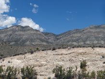 Die Wüste im Red Rock Canyon bei Las Vegas